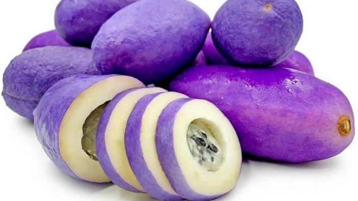 quả nho akebi khi thu hoạch