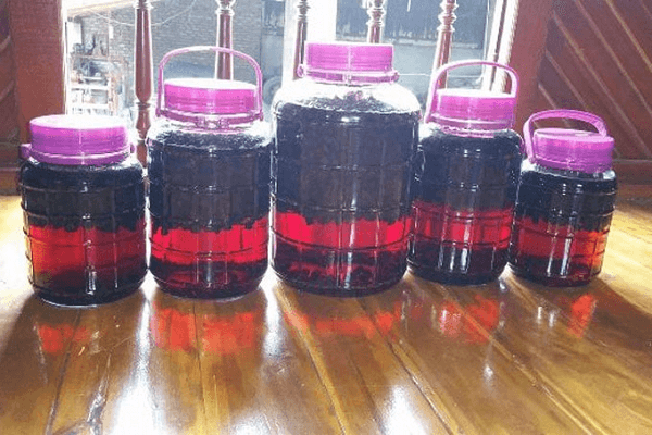 Công dụng của ổi sim Nhật