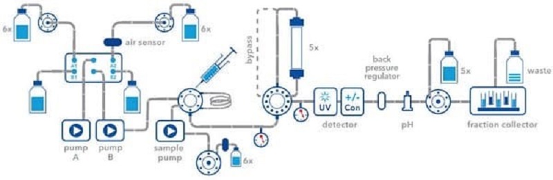 Biểu đồ phương pháp sắc ký lỏng protein nhanh