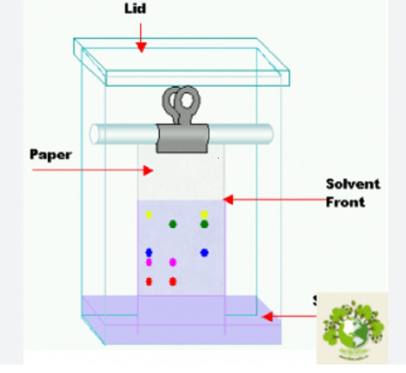 Phương pháp sắc ký lớp mỏng (TLC)