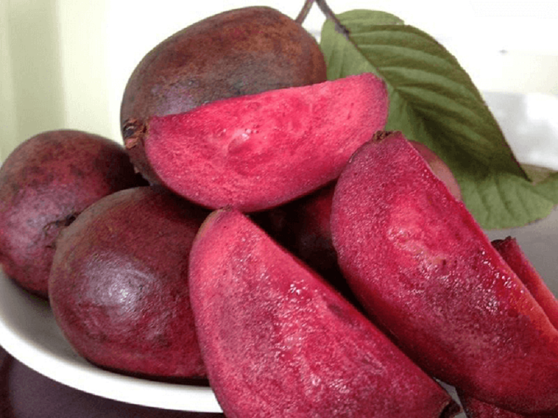 quả ổi tím
