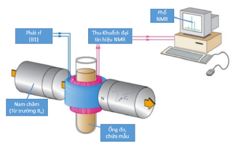 Sơ đồ nguyên lý thiết bị NMR