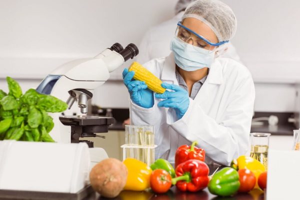 Ứng dụng kỹ thuật sắc ký trong kiểm nghiệm chất lượng rau củ quả