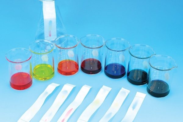Ứng dụng các kỹ thuật sắc ký trong nhận diện axit amin và peptit