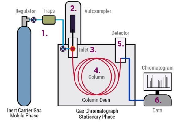 Nhân tố ảnh hưởng đến quá trình tách chất trong sắc ký khí (GC)