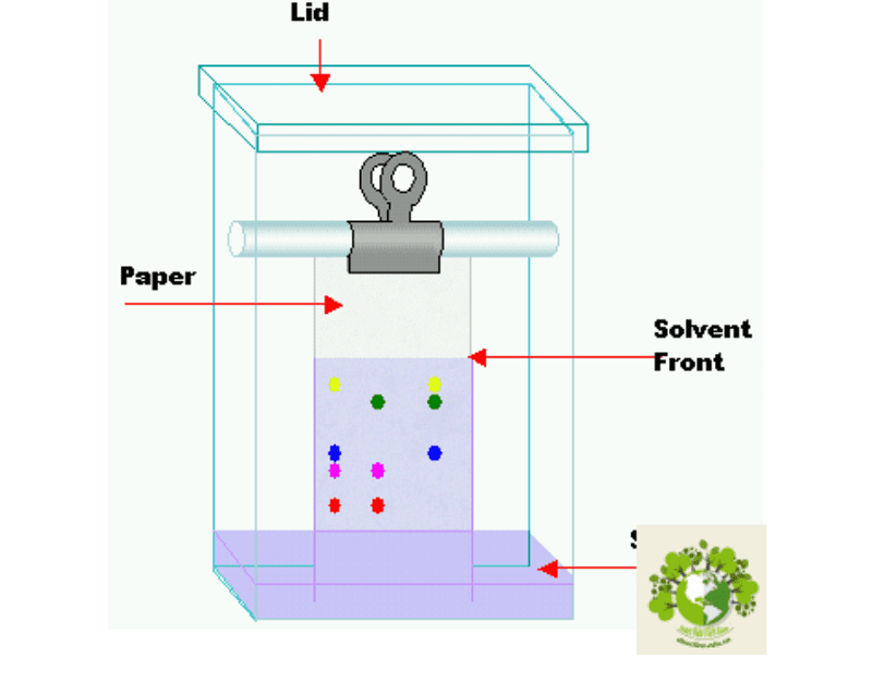 phương pháp sắc ký lớp mỏng