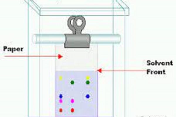 Những điều cần biết về phương pháp sắc ký giấy?